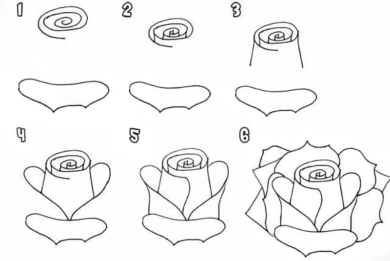 Dibujos de Rosas