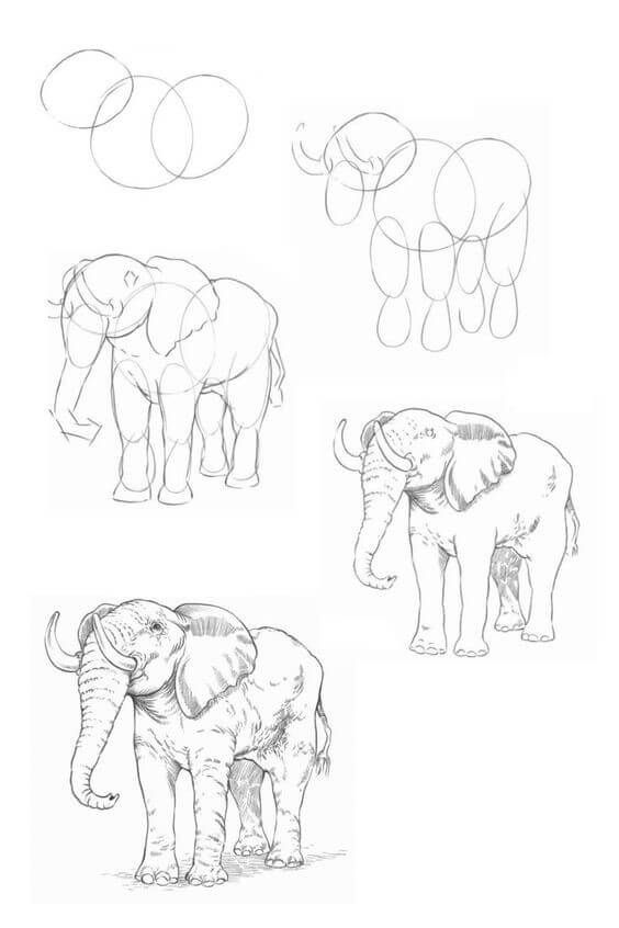 Dibujos de Elefante - Idea 25