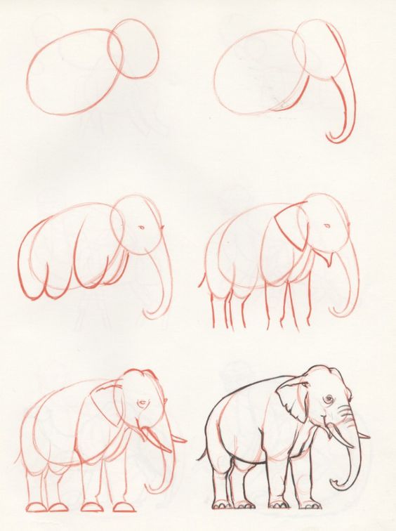 Dibujos de Elefante - Idea 26