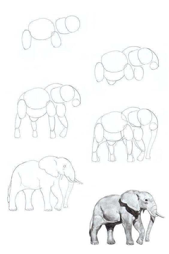 Dibujos de Elefante - Idea 29