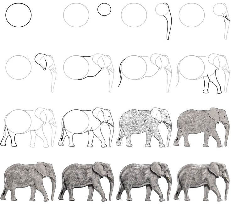 Dibujos de Elefante - Idea 48