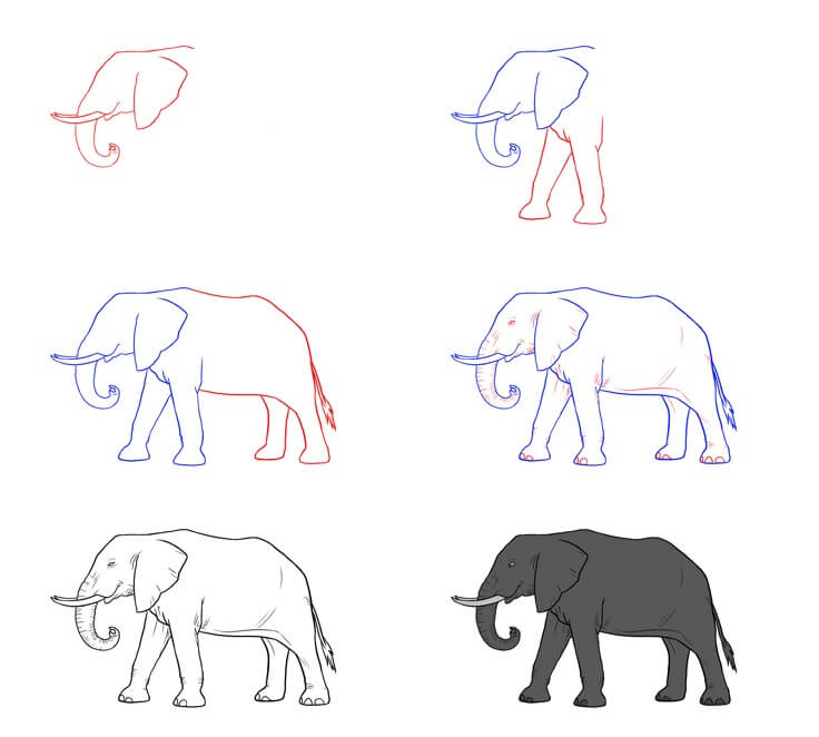 Dibujos de Elefante - Idea 80