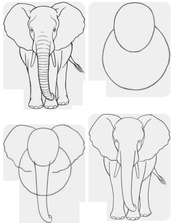 Dibujos de Un gran elefante
