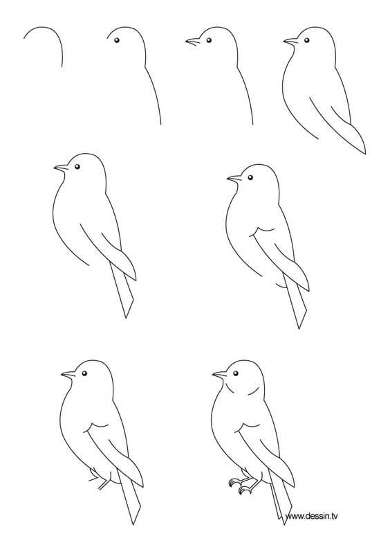 Dibujos de Un pájaro - Idea 23