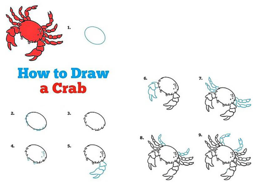 Dibujos de Un cangrejo - Idea 15