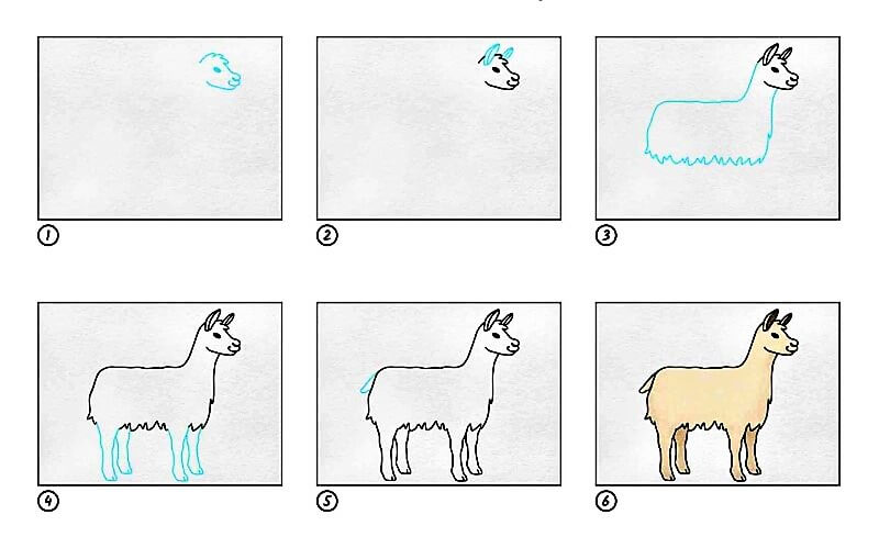 Dibujos de Llama andina