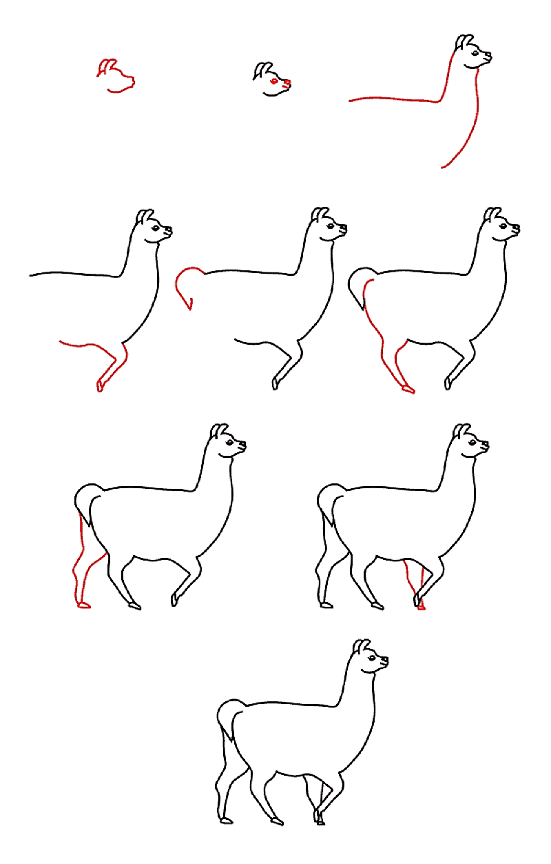 Dibujos de Llama juguetona