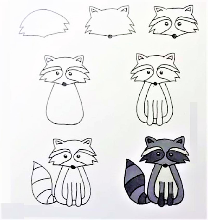 Dibujos de A Raccoon Idea 12