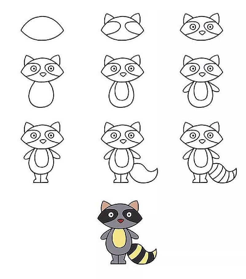 Dibujos de A Raccoon Idea 15