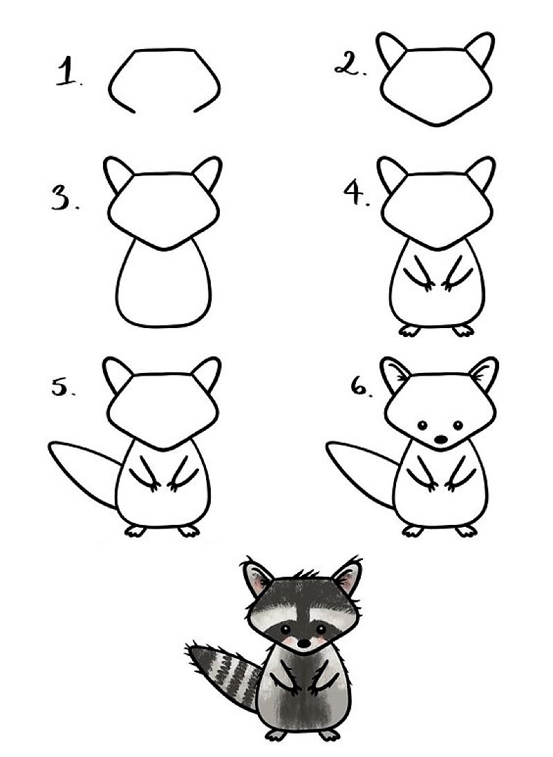 Dibujos de A Raccoon Idea 16