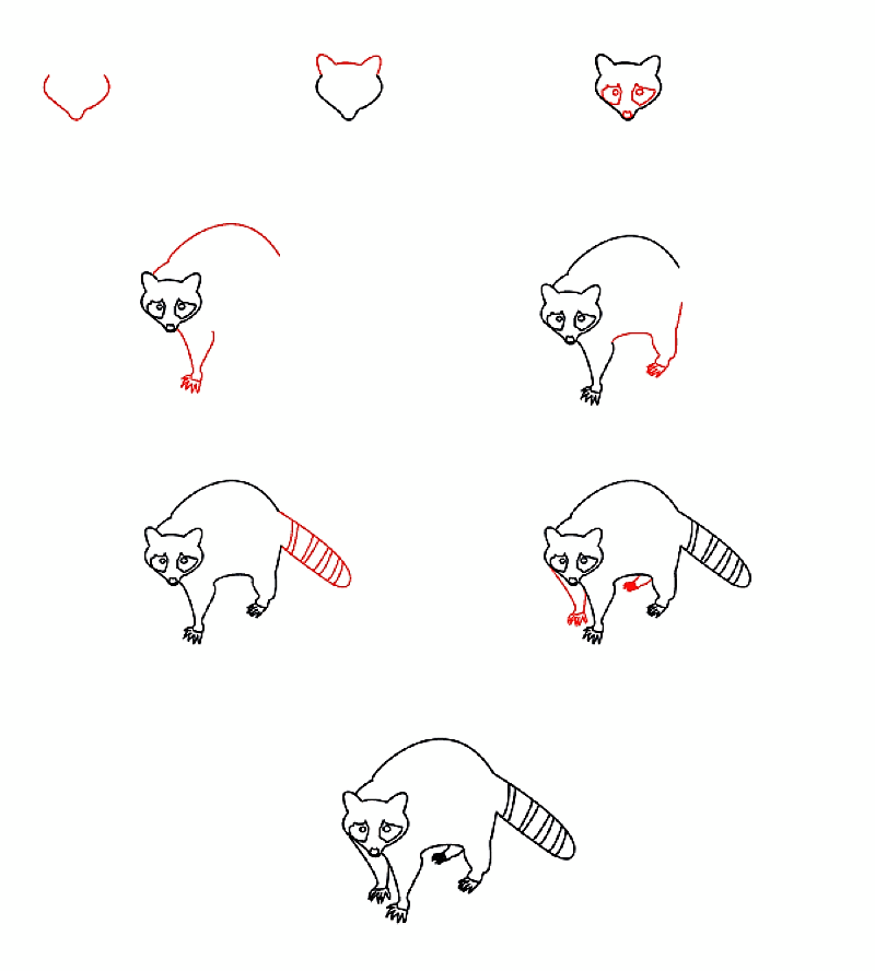 Dibujos de Mapache caminando