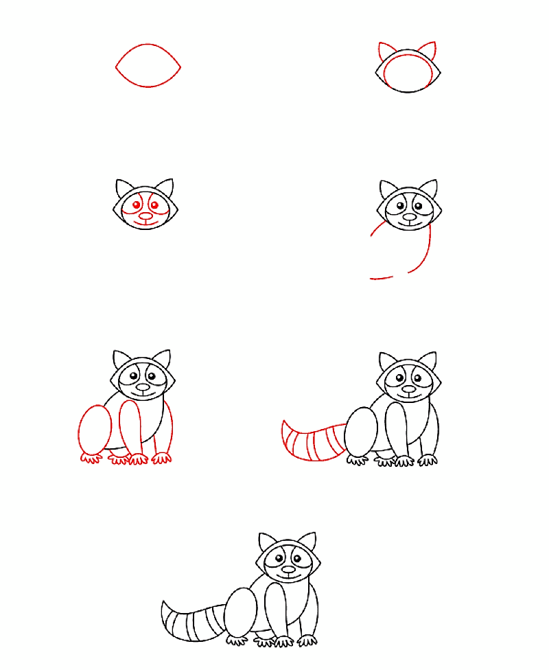 Dibujos de Mapache sentado