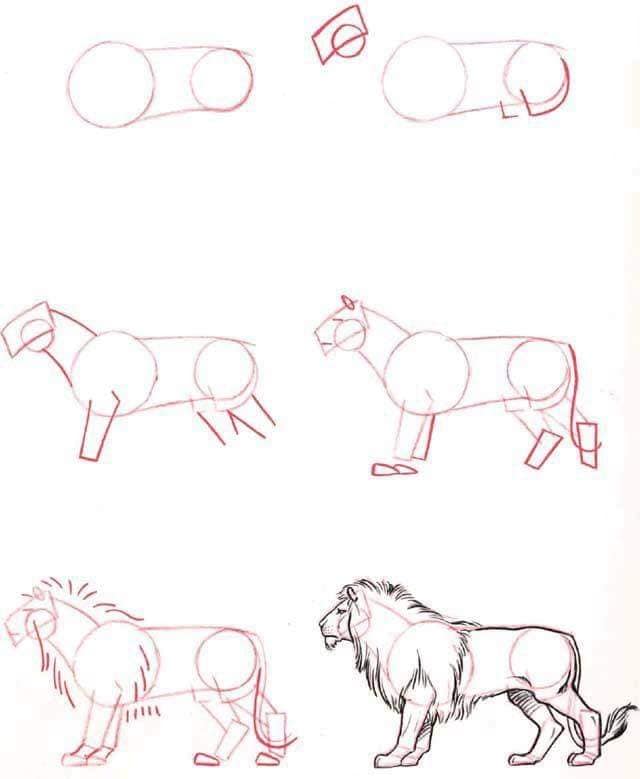 Dibujos de Un boceto de león