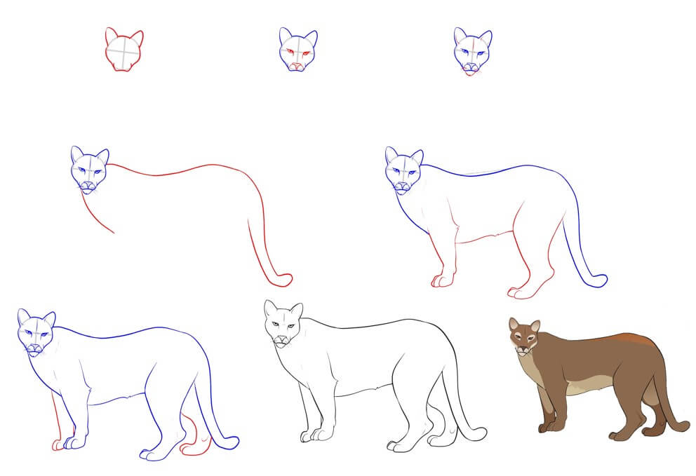 Dibujos de Un gran león