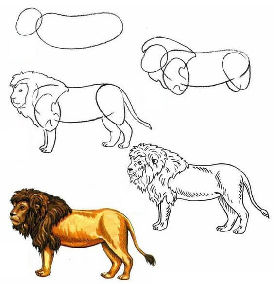 Dibujos de Un león realista