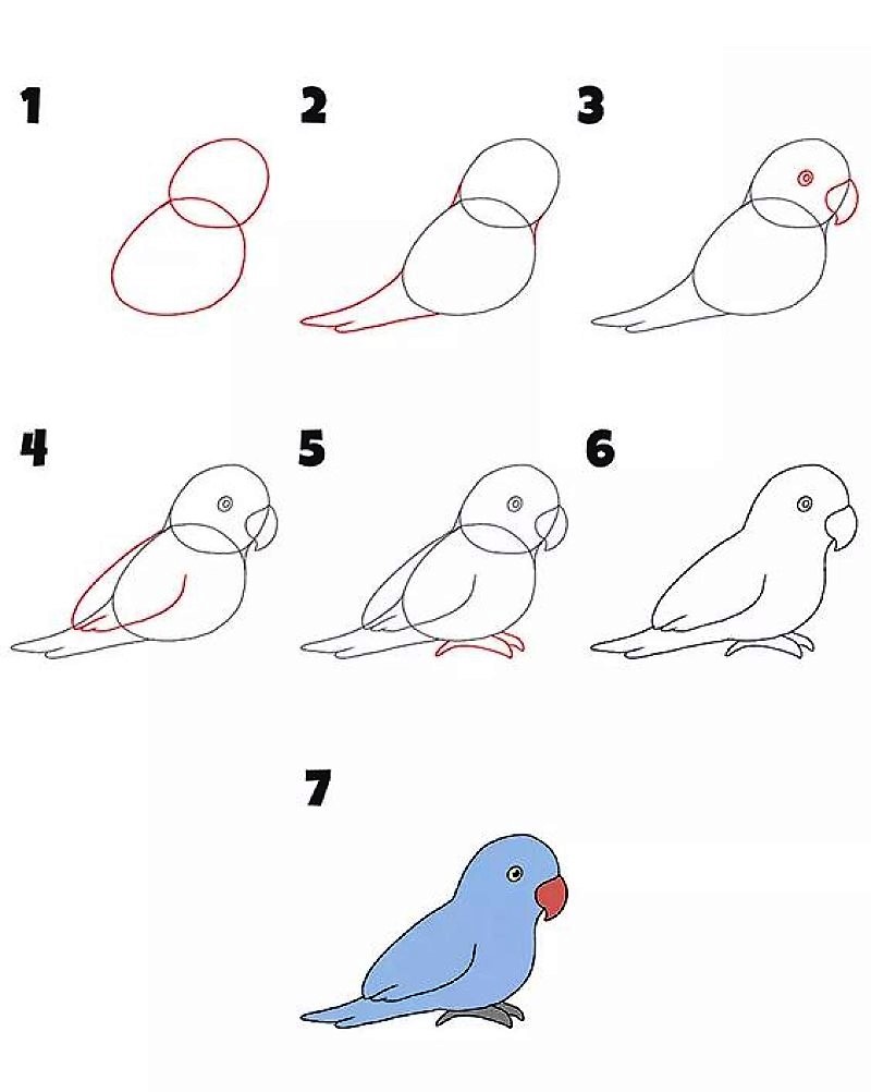 Dibujos de Un loro fácil
