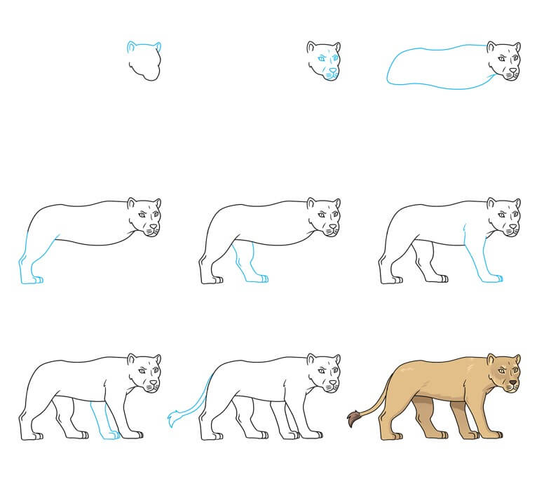 Dibujos de Un León - Idea 44