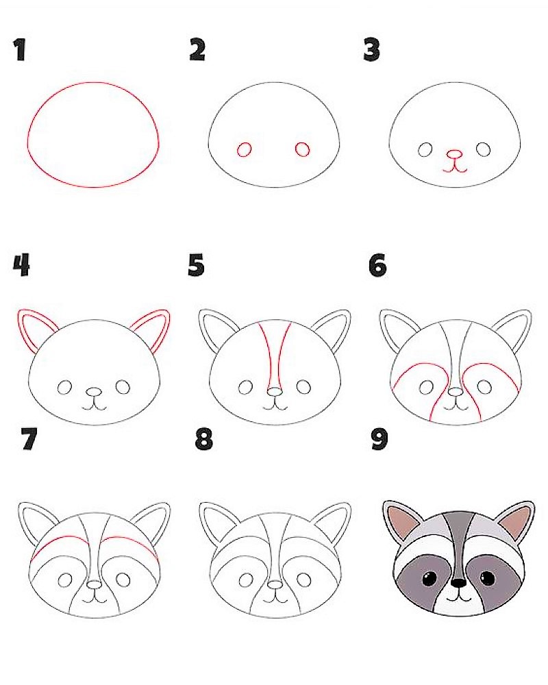 Dibujos de Head of a raccoon