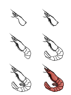 Dibujos de Camarón sencillo