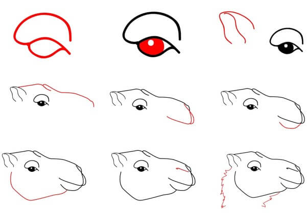 Dibujos de Camello amigable