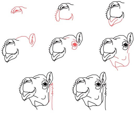 Dibujos de Camello fácil
