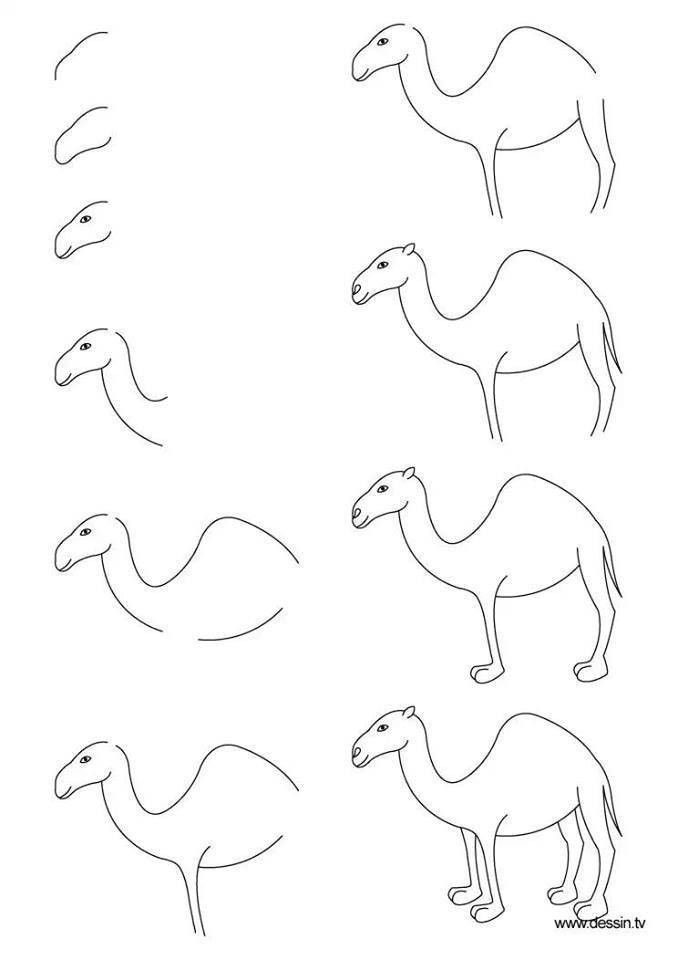 Dibujos de Camello sonriente