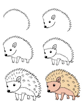Dibujos de Erizos