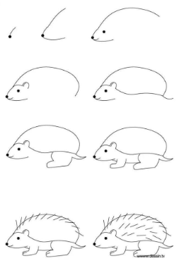 Dibujos de Erizo tierno