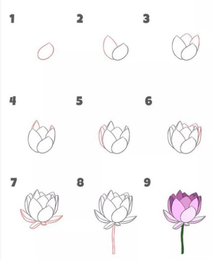 Dibujos de Flor de loto tierna
