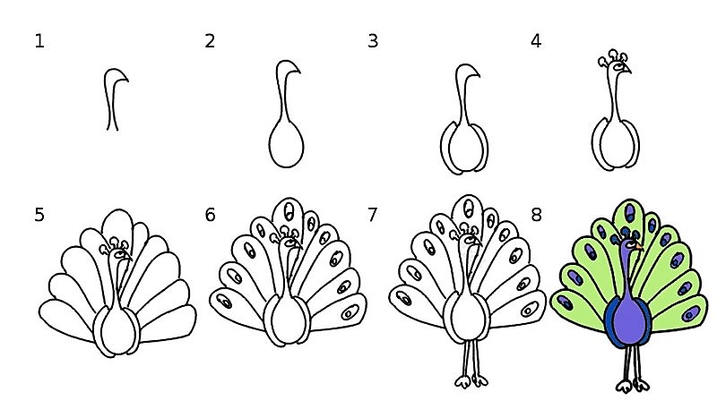 Dibujos de Un bonito pavo real