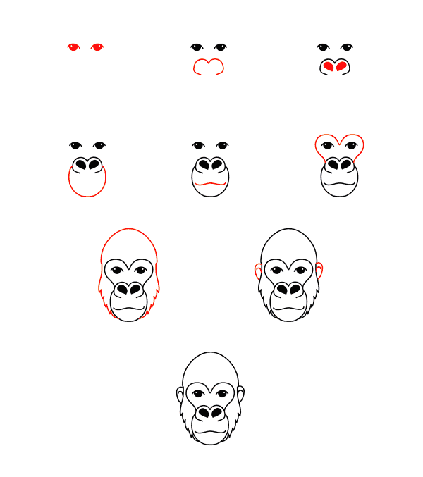 Dibujos de Cabeza de gorila