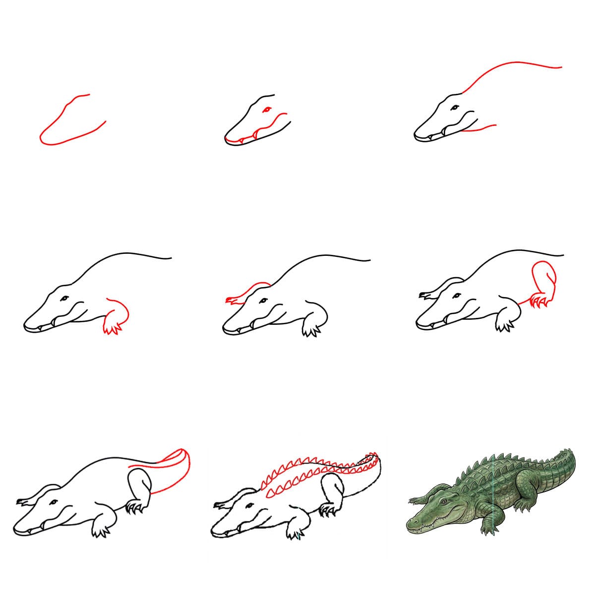 Dibujos de Cocodrilo realista