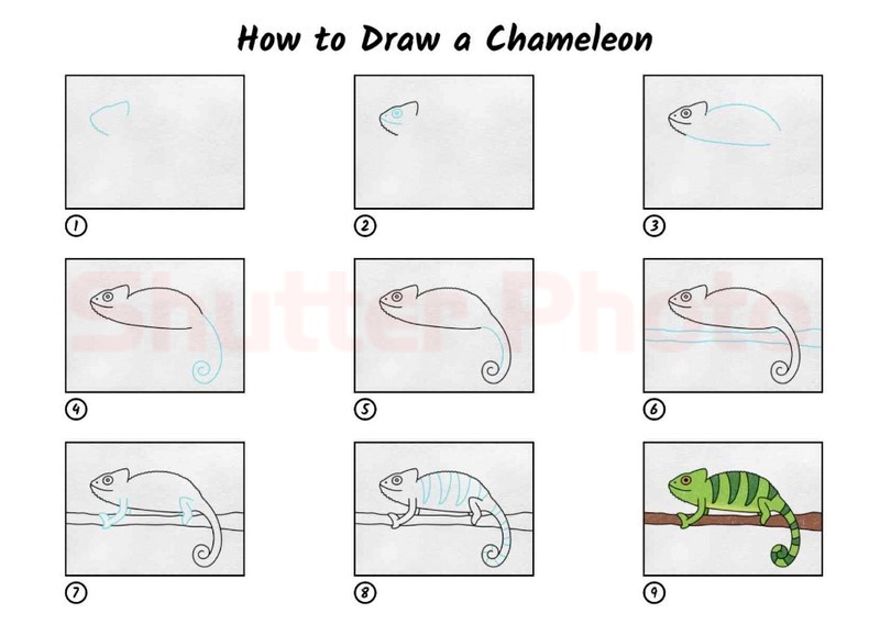 Dibujos de Geco bebé