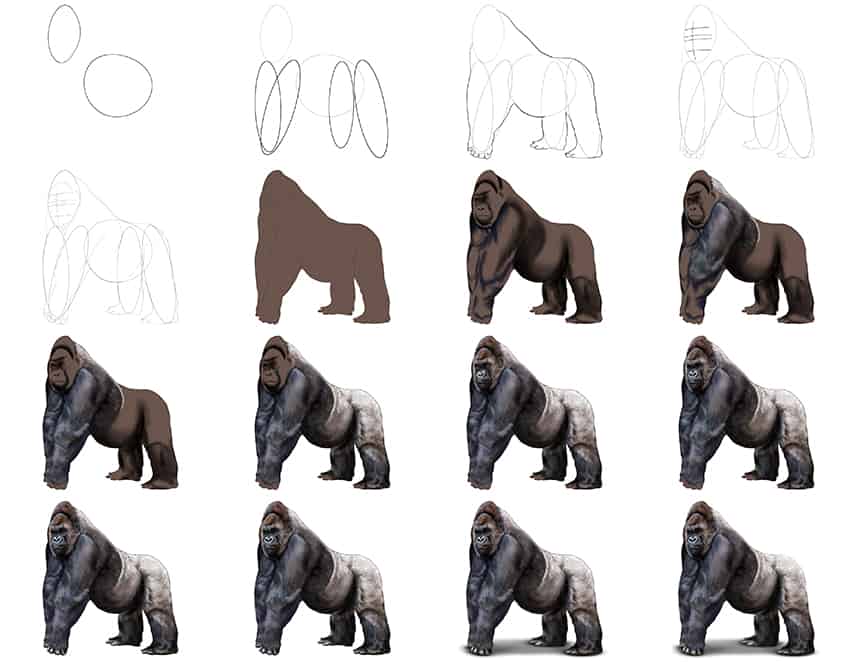 Dibujos de Gorila curioso