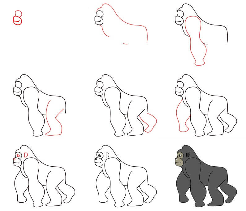 Dibujos de Gorila detallado