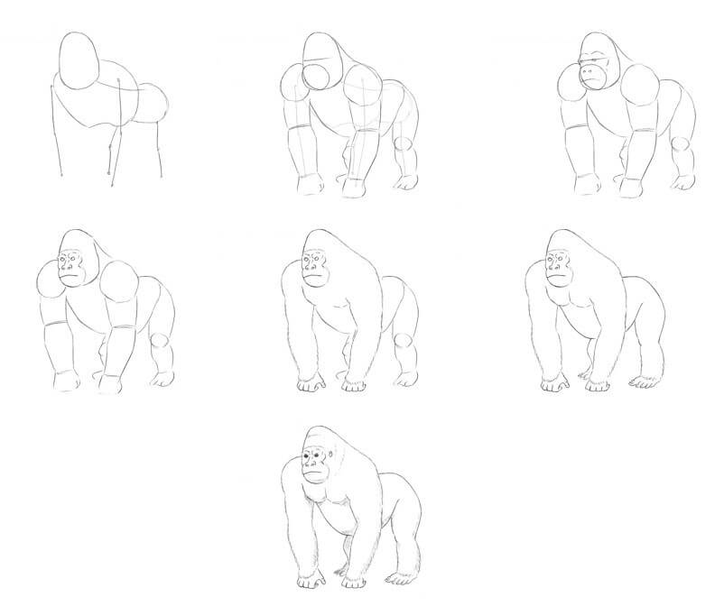 Dibujos de Gorila en la selva