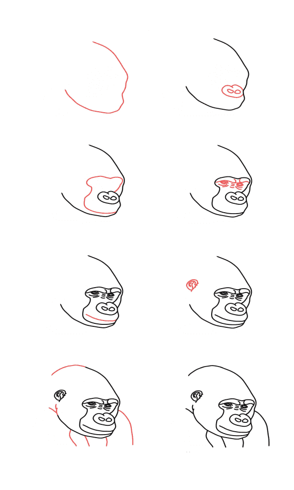 Dibujos de Gorila sentado