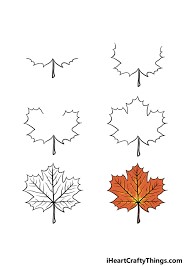 Dibujos de Hoja de arce de dibujos animados