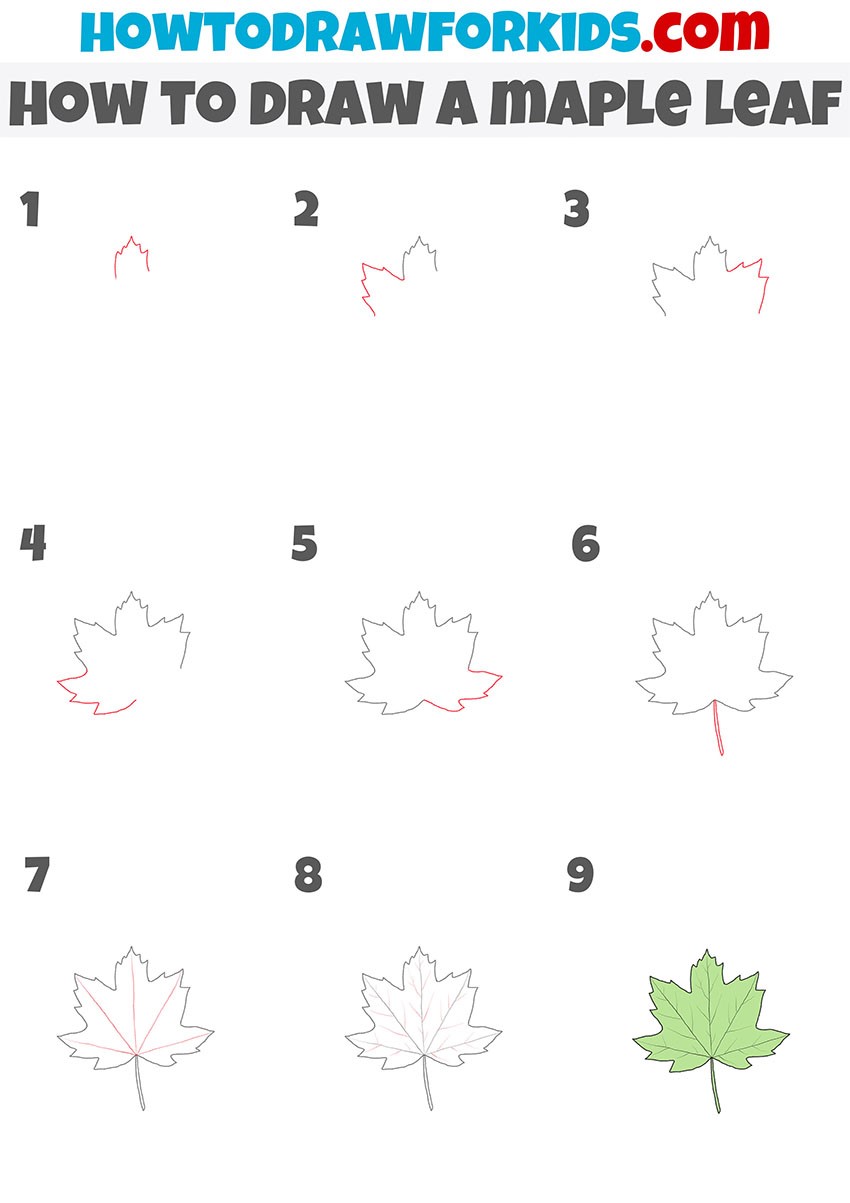 Dibujos de Hoja de arce verde