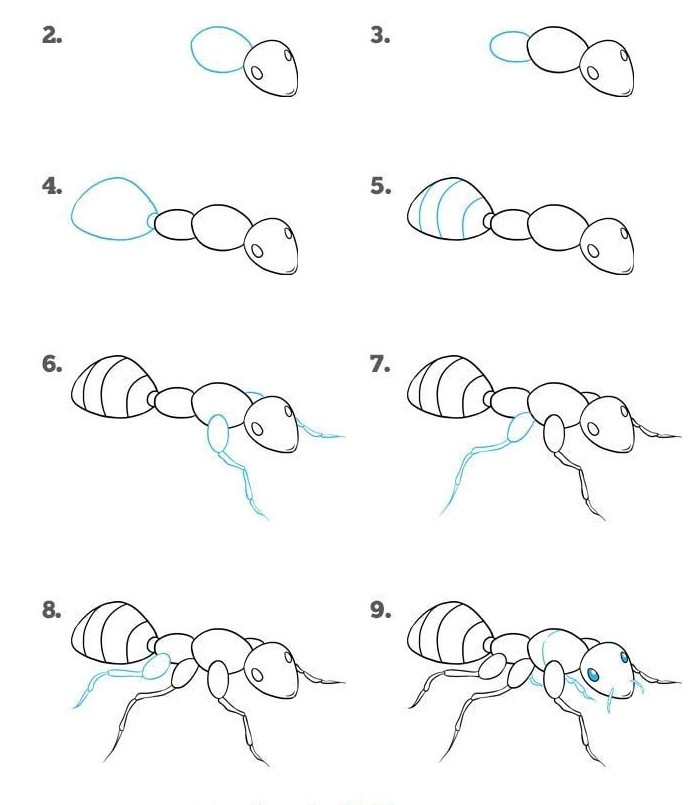 Dibujos de Hormiga adorable
