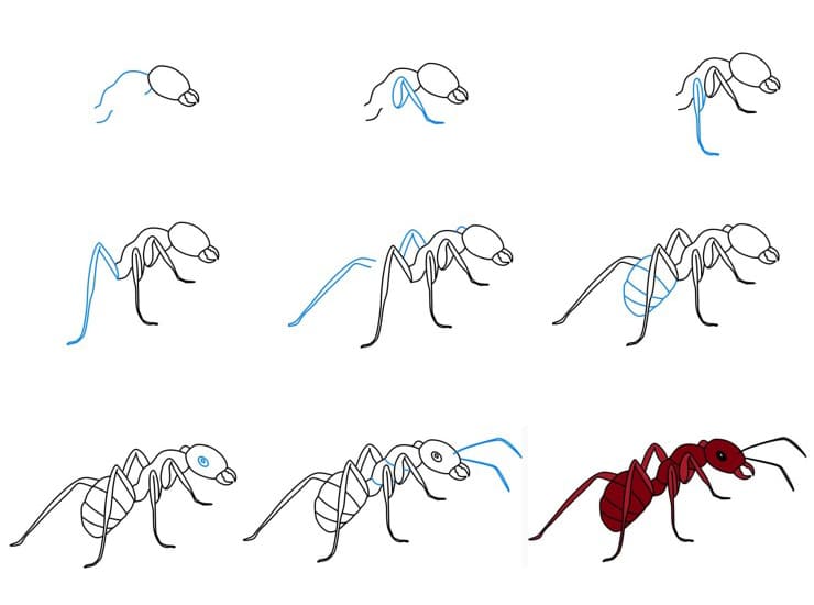 Dibujos de Hormiga de dibujos animados