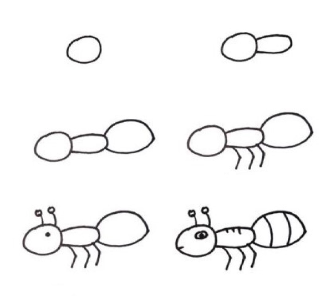 Dibujos de Hormiga del bosque