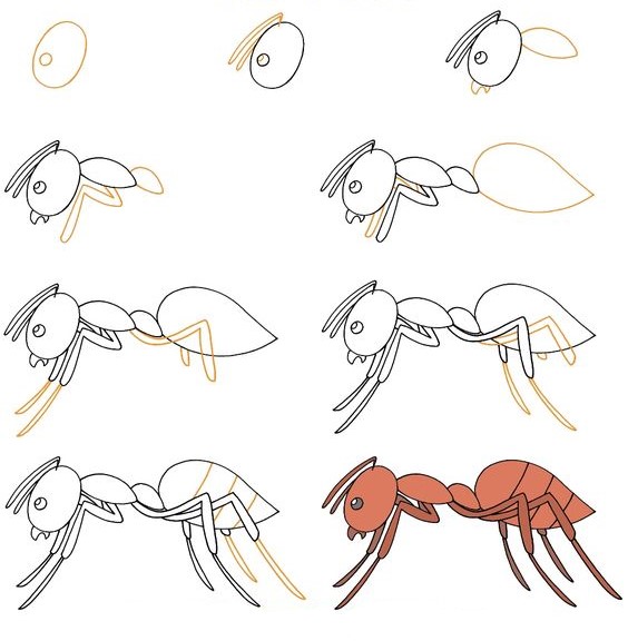 Dibujos de Hormiga detallada