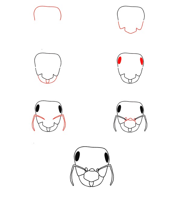 Dibujos de Hormiga en una flor
