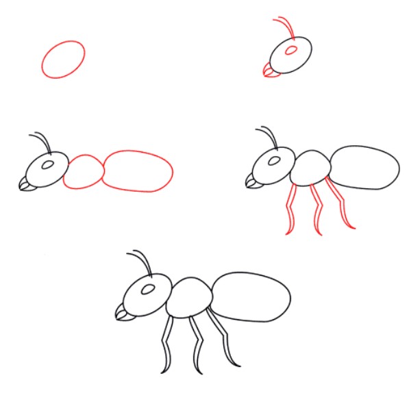Dibujos de Hormiga exploradora