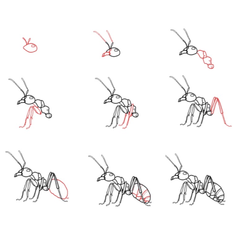 Dibujos de Hormiga infantil