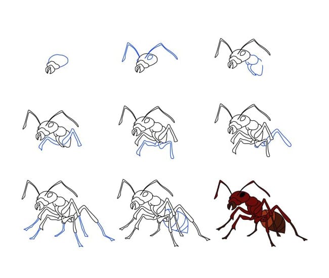 Dibujos de Hormiga obrera