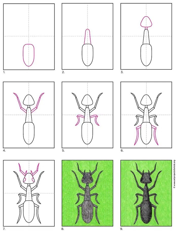 Dibujos de Hormiga pequeña