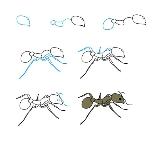 Dibujos de Hormiga reina
