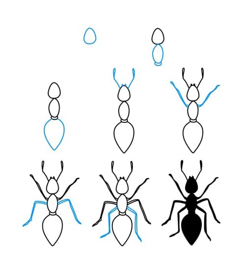 Dibujos de Hormiga soldado